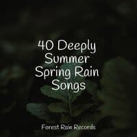 40 Deeply Summer Spring Rain Songs