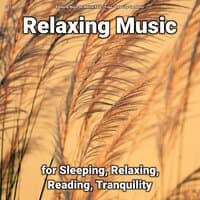 #01 Relaxing Music for Sleeping, Relaxing, Reading, Tranquility