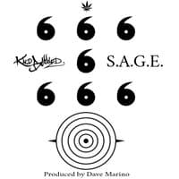 S.A.G.E.