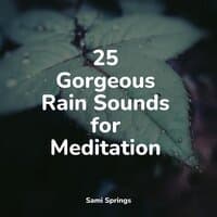 25 Gorgeous Rain Sounds for Meditation