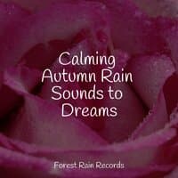 Calming Autumn Rain Sounds to Dreams