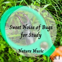 Nature Music: Sweet Noise of Bugs for Study Vol. 1