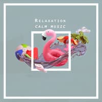 Relaxation Calm Music – Ambient Relaxation, Nature Background, Harmony and Balance