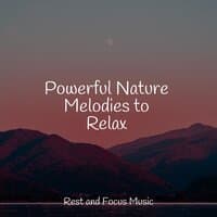 Powerful Nature Melodies to Relax