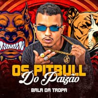 Os Pitbull do Paizão