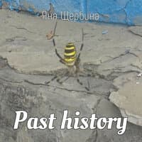 Past history