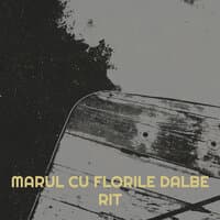 Marul Cu Florile Dalbe