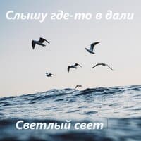 Слышу где-то в дали