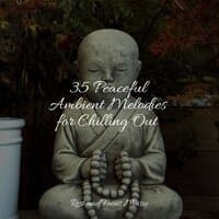 35 Peaceful Ambient Melodies for Chilling Out