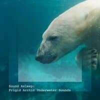 Sound Asleep: Frigid Arctic Underwater Sounds