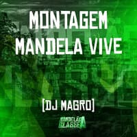 Montagem Mandela Vive