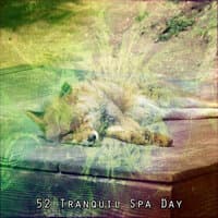 52 Tranquil Spa Day