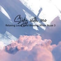 Study with Me: Relaxing Loud Wind Blowing White Noise 3