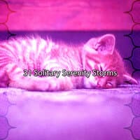 31 Solitary Serenity Storms