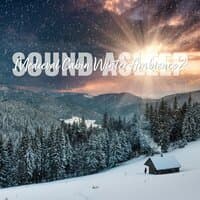 Sound Asleep: Medieval Cabin Winter Ambience 2