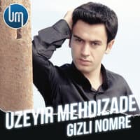 Gizli Nomre