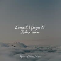 Sounds | Yoga & Relaxation