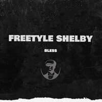 Freestyle Shelby