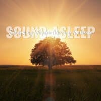 Sound Asleep: Blossoming Meadow Morning Ambience