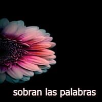 sobran las palabras