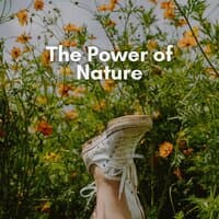 The Power of Nature