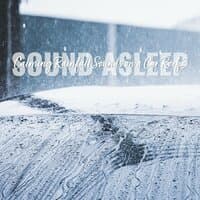 Sound Asleep: Calming Rainfall Sounds on a Car Roof 3