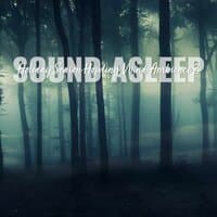 Sound Asleep: Holiday Season Howling Wind Ambience 2