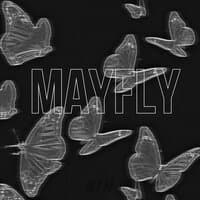 MAYFLY