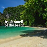 Fresh Smell of the Beach