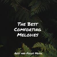 The Best Comforting Melodies