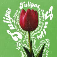 Tulipas