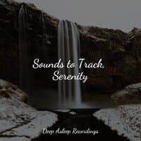 Sounds to Track, Serenity