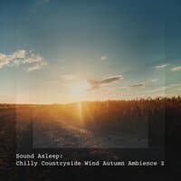 Sound Asleep: Chilly Countryside Wind Autumn Ambience 2