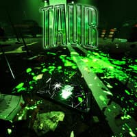 TAUB