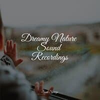 Dreamy Nature Sound Recordings