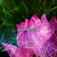 40 Dreams Origin