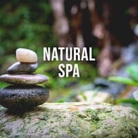 Natural Spa: Meditative Sound of a Hot Spring Surrounded by Rolling Hills and Forests