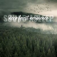 Sound Asleep: Deep Forest Ambience