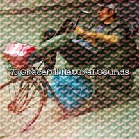 73 Graceful Natural Sounds