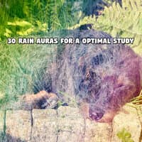 30 Rain Auras For A Optimal Study