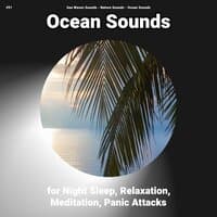 #01 Ocean Sounds for Night Sleep, Relaxation, Meditation, Panic Attacks