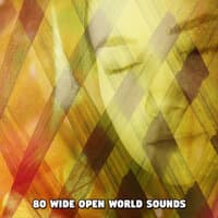 80 Wide Open World Sounds