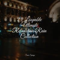 25 Loopable Ultimate Relaxation Rain Collection