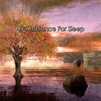 49 Ambience For Sleep