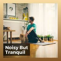 Noisy but Tranquil