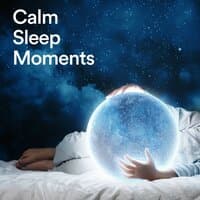 Calm Sleep Moments