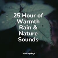 25 Hour of Warmth Rain & Nature Sounds