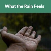 What Rain Feels Like