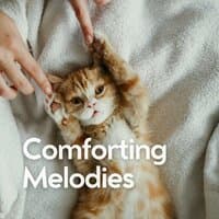 Comforting Melodies