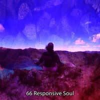 66 Responsive Soul